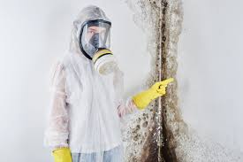 Best Comprehensive Air Testing for Mold Contaminants in Pleasant Hill, CA